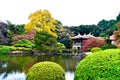 Japan pavilion Taiwan historic red maple and bonsai park Royalty Free Stock Photo